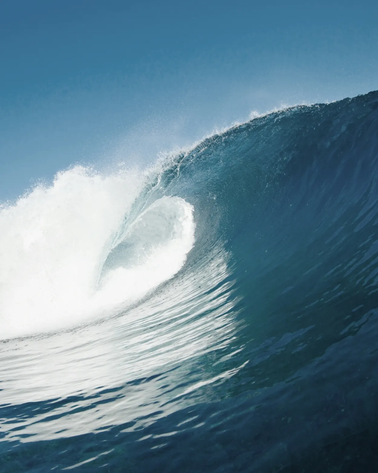 Leider keine Bildbeschreibung für Depositphotos_8487332_XL.jpg vorhanden.